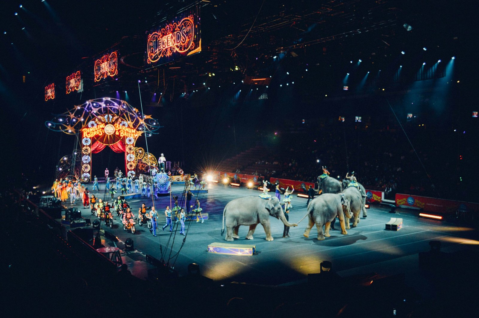 gray elephants performing on circus